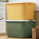 Plastic Storage Box Mold